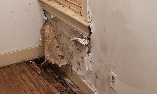 Water Damaged Interior Wall 