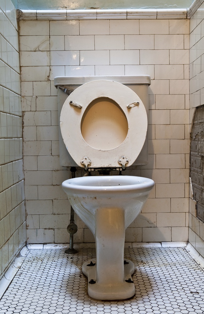 Old Toilet