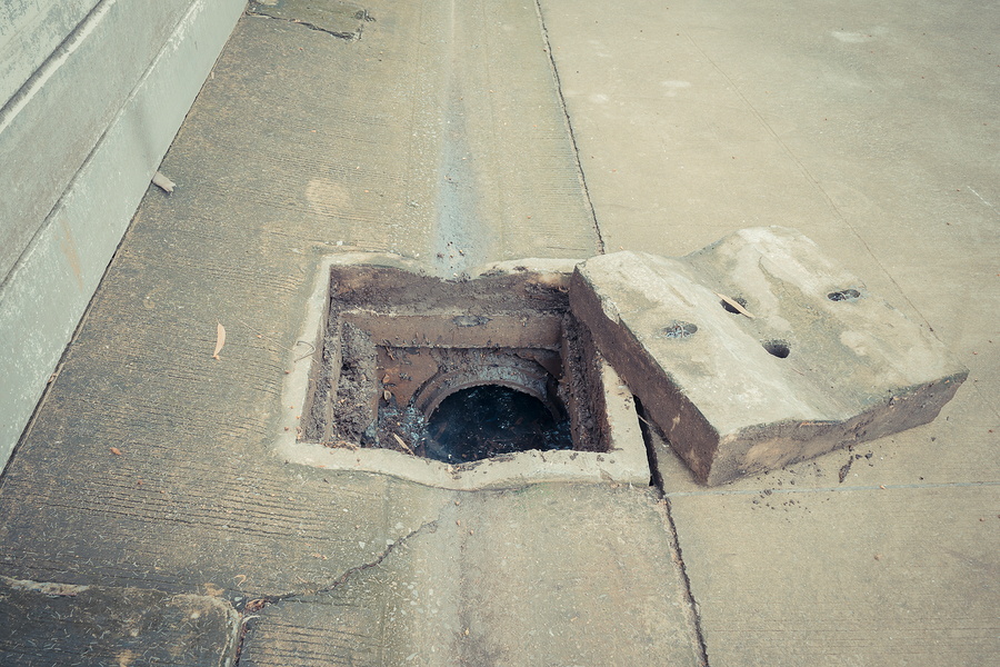 Sewer Repair