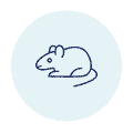 Opt-Rodents