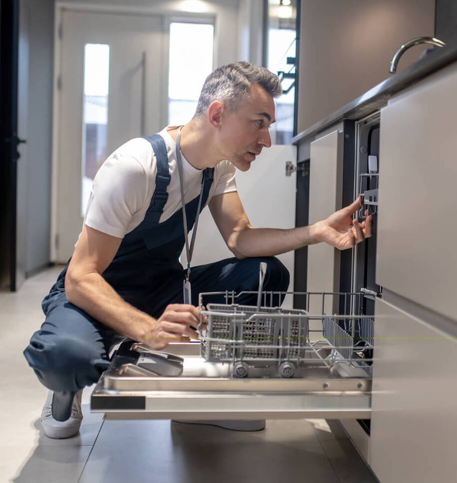 Keep your dishwasher, disposal and drain running cleanly and efficiently 