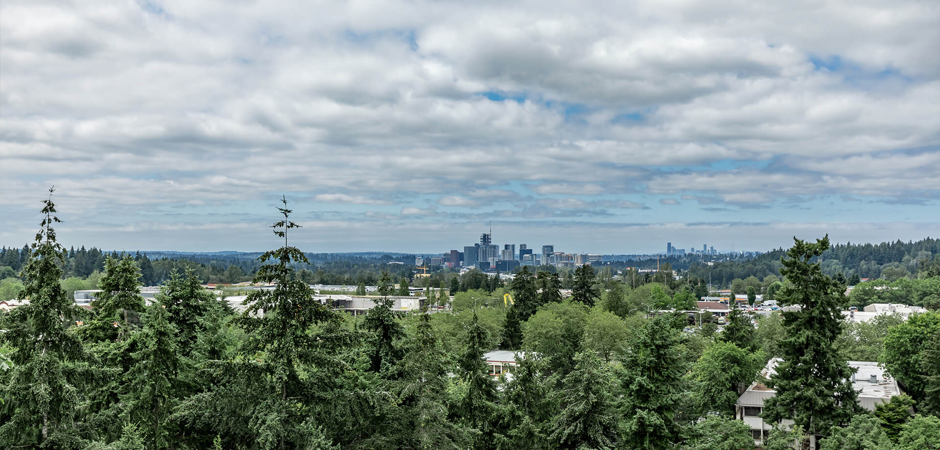 Overlake Skyline