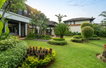 Exterior design of house, home and pool villa feature swimming pool, terrace, landscape garden and sun bed