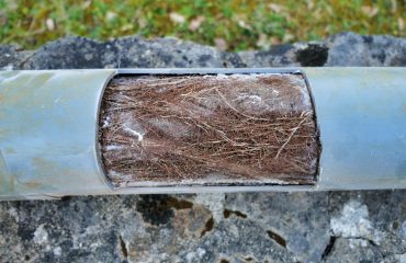 Drainage pipe cut open to show how roots can tangle and block pipes, ultimately leading to blockages and fractures of pipes.